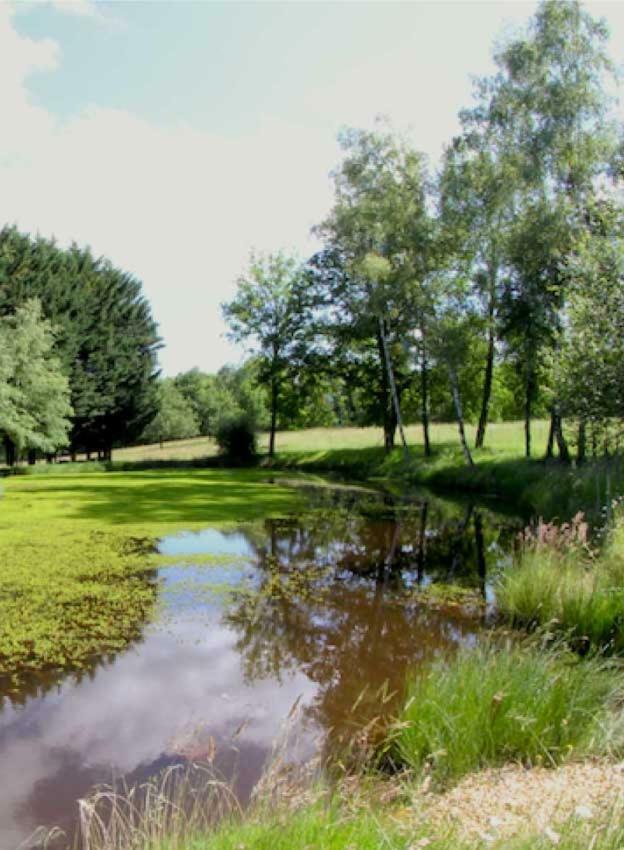 הוילה Saint-Paul-la-Roche Domaine Des Grandes Landes מראה חיצוני תמונה